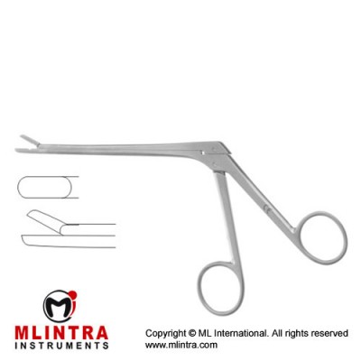 Spurling Leminectomy Rongeur Straight Stainless Steel, 20 cm - 8" Bite Size 4 x 10 mm